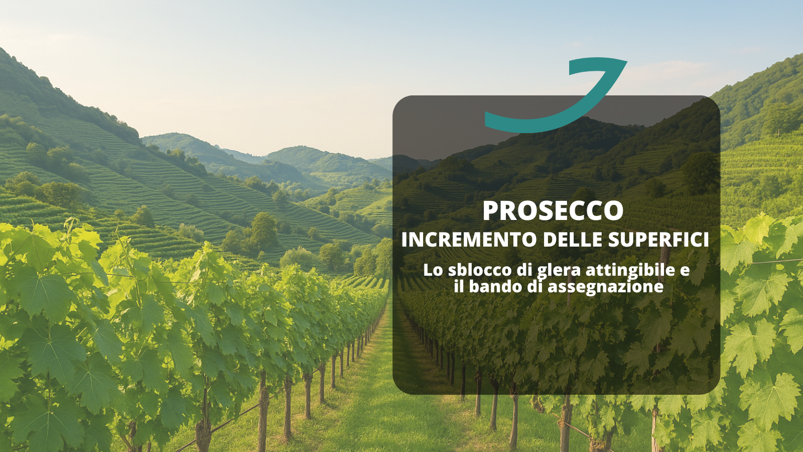 prosecco incremento superfici sblocco glera e bando assegnazione