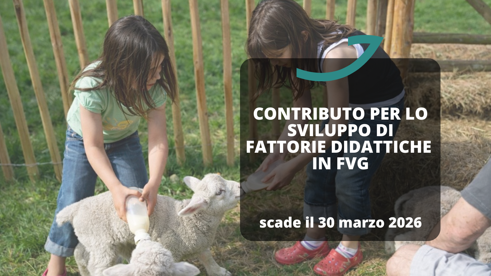 contributo fattorie didattiche fvg