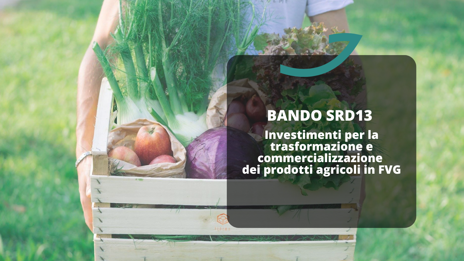 contributi trasformazione e commercializzazione prodotti agricoli - bando SRD13
