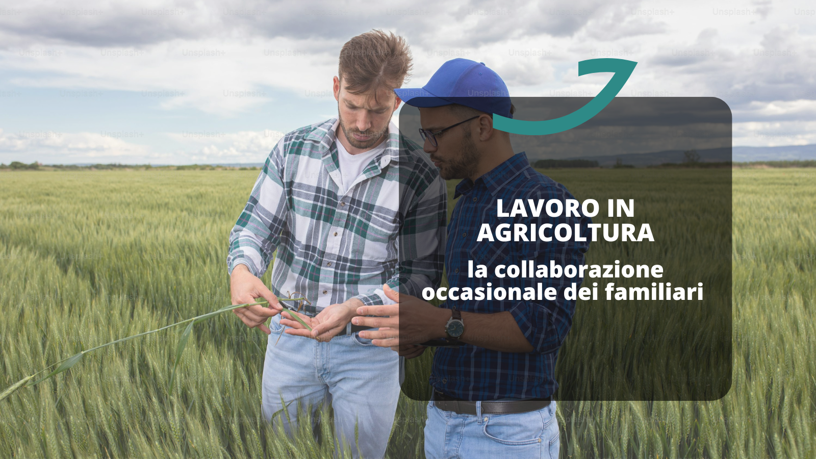 #lavoro #occasionale #agricoltura #familiari