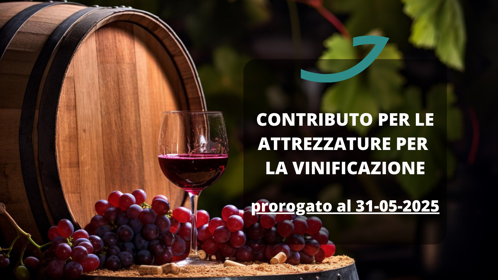 contributo attrezzature vinificazione