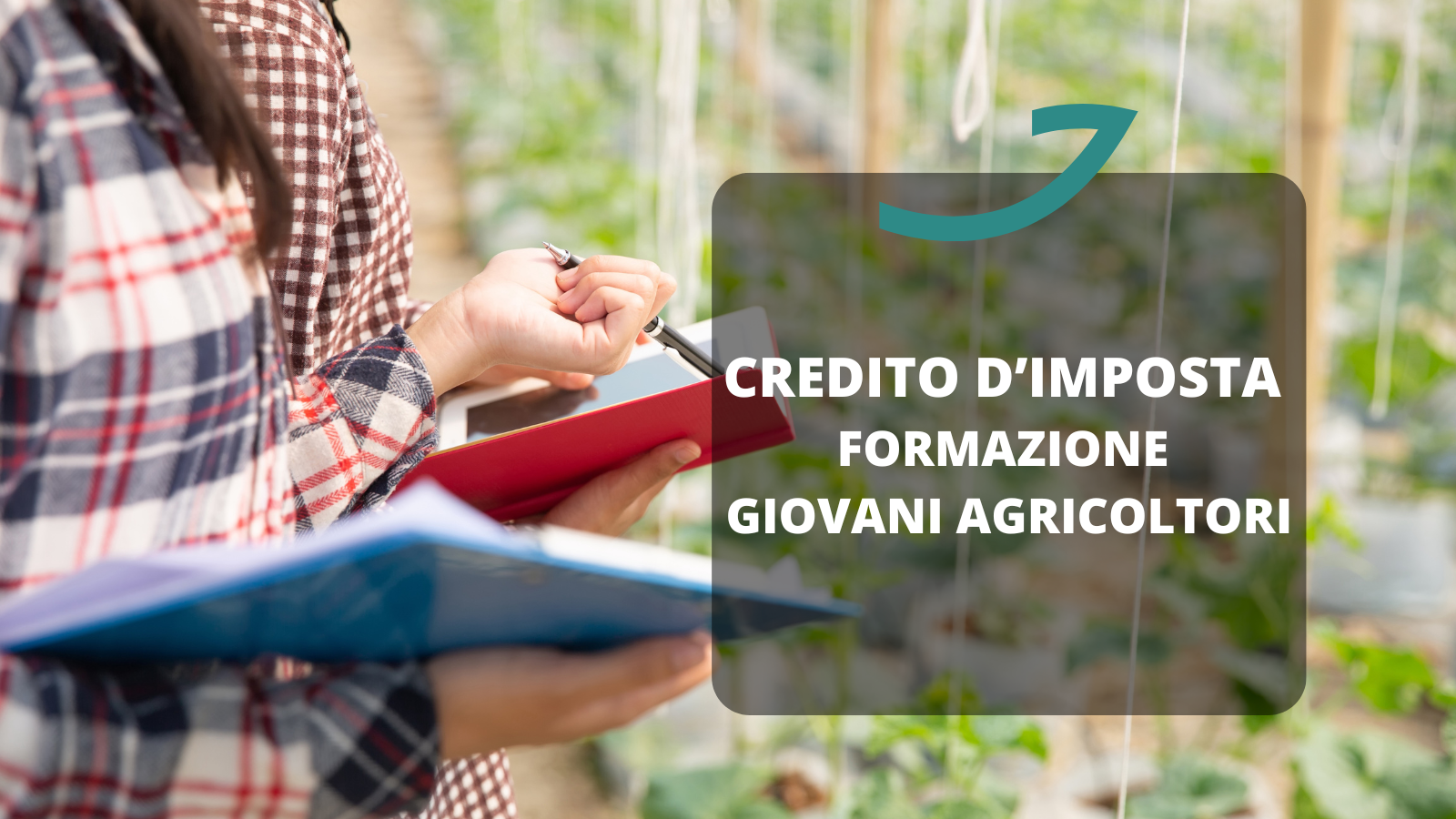 credito imposta formazione giovani agricoltori