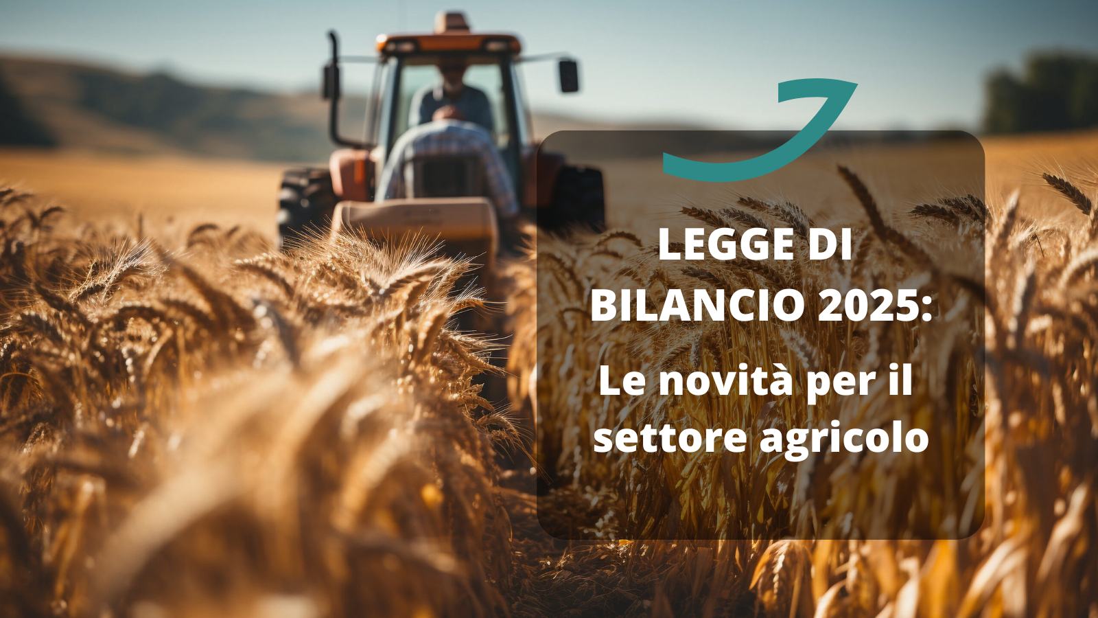 legge bilancio 2025
